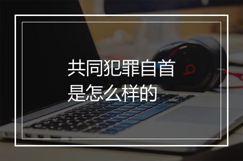 共同犯罪自首是怎么样的