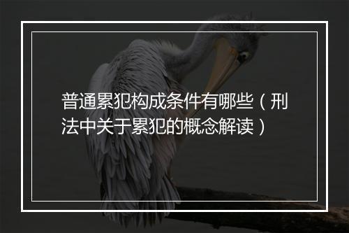 普通累犯构成条件有哪些（刑法中关于累犯的概念解读）