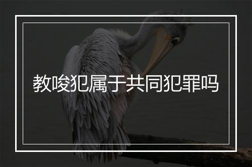 教唆犯属于共同犯罪吗