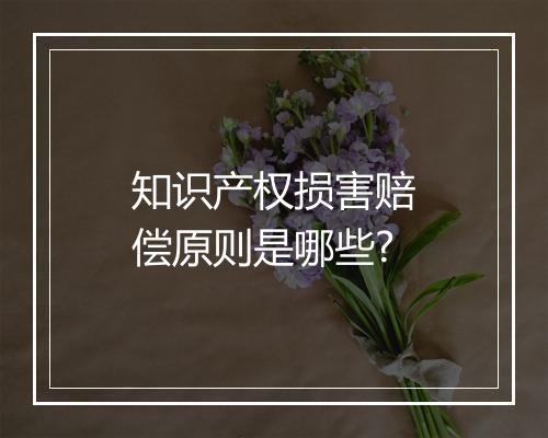 知识产权损害赔偿原则是哪些?