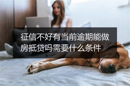 征信不好有当前逾期能做房抵贷吗需要什么条件