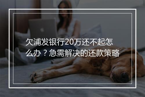 欠浦发银行20万还不起怎么办？急需解决的还款策略