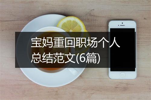 宝妈重回职场个人总结范文(6篇)