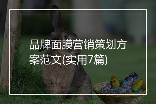 品牌面膜营销策划方案范文(实用7篇)