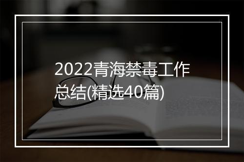 2022青海禁毒工作总结(精选40篇)