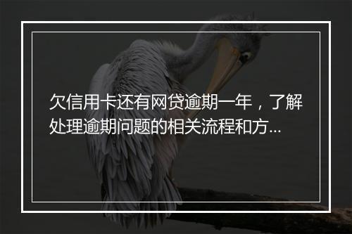 欠信用卡还有网贷逾期一年，了解处理逾期问题的相关流程和方法