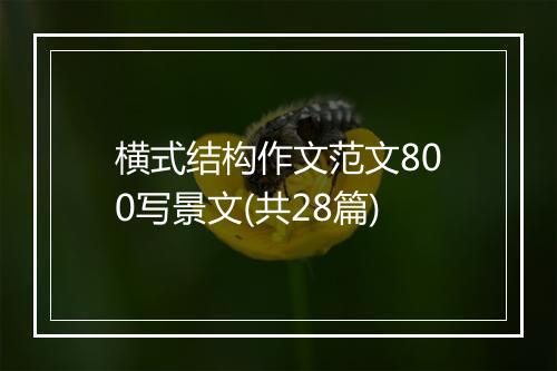 横式结构作文范文800写景文(共28篇)
