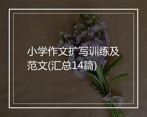 小学作文扩写训练及范文(汇总14篇)