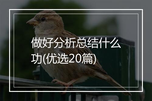 做好分析总结什么功(优选20篇)