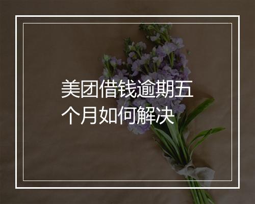 美团借钱逾期五个月如何解决