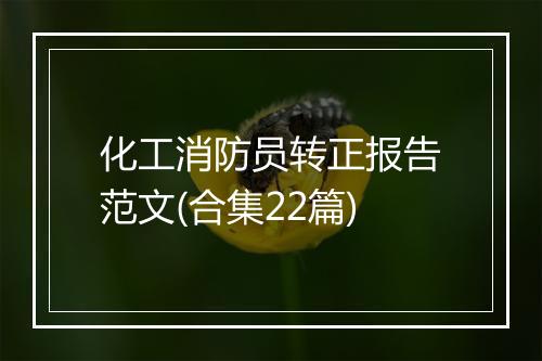 化工消防员转正报告范文(合集22篇)