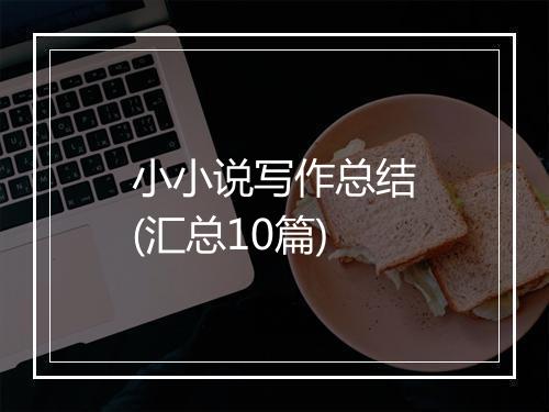 小小说写作总结(汇总10篇)