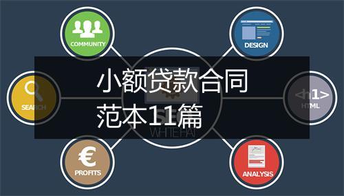 小额贷款合同范本11篇
