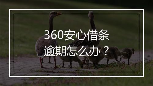 360安心借条逾期怎么办？