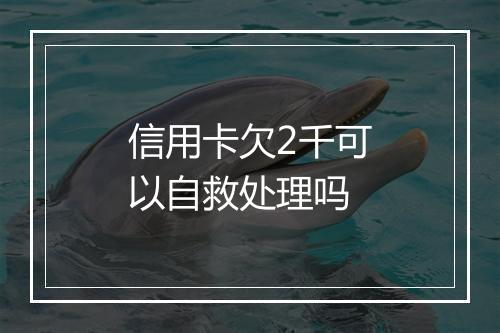 信用卡欠2千可以自救处理吗