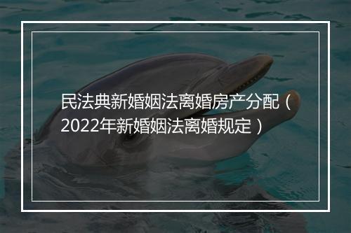 民法典新婚姻法离婚房产分配（2022年新婚姻法离婚规定）