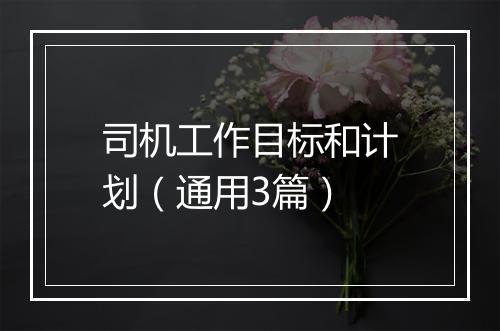司机工作目标和计划（通用3篇）