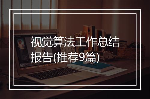 视觉算法工作总结报告(推荐9篇)