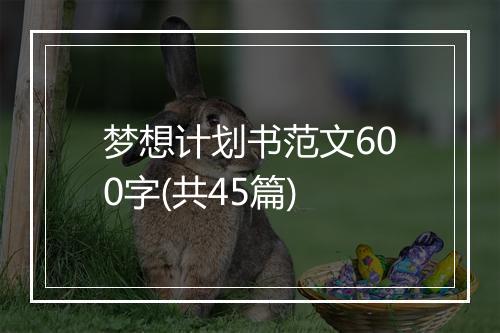 梦想计划书范文600字(共45篇)