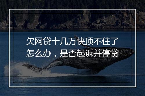 欠网贷十几万快顶不住了怎么办，是否起诉并停贷