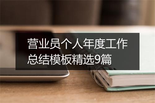 营业员个人年度工作总结模板精选9篇
