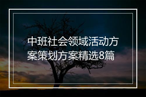 中班社会领域活动方案策划方案精选8篇