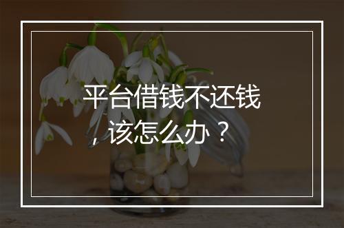 平台借钱不还钱，该怎么办？