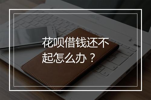 花呗借钱还不起怎么办？