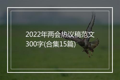 2022年两会热议稿范文300字(合集15篇)