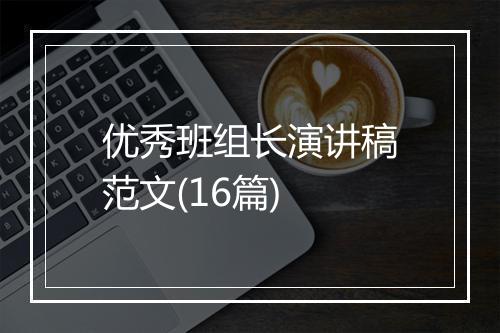 优秀班组长演讲稿范文(16篇)