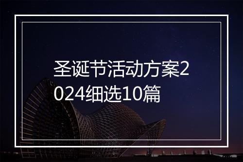 圣诞节活动方案2024细选10篇