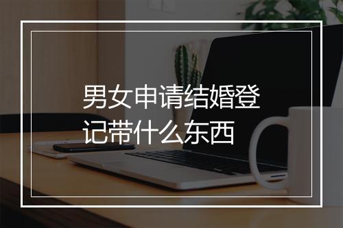 男女申请结婚登记带什么东西
