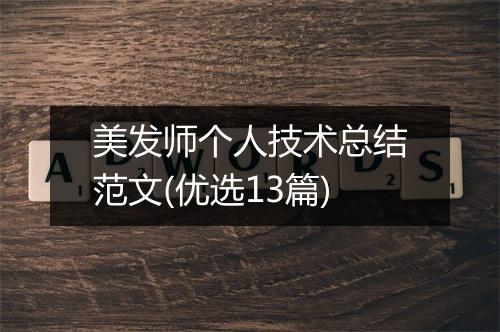 美发师个人技术总结范文(优选13篇)