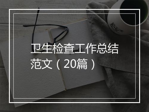 卫生检查工作总结范文（20篇）