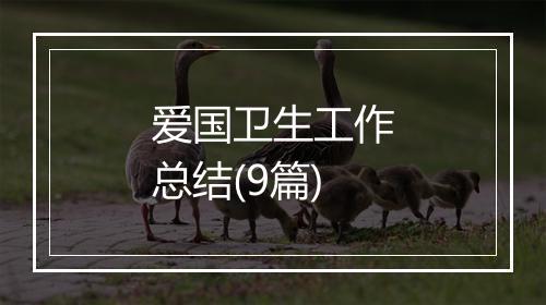 爱国卫生工作总结(9篇)