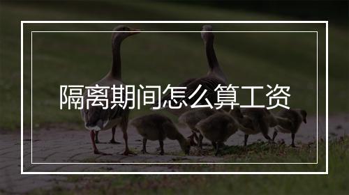 隔离期间怎么算工资