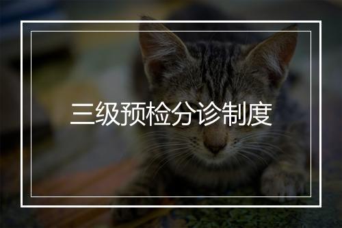 三级预检分诊制度