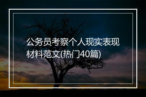 公务员考察个人现实表现材料范文(热门40篇)