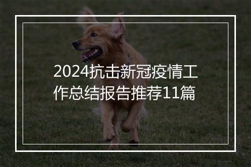 2024抗击新冠疫情工作总结报告推荐11篇