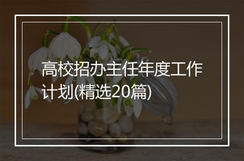 高校招办主任年度工作计划(精选20篇)