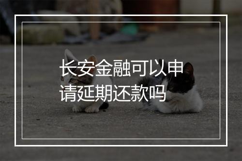 长安金融可以申请延期还款吗