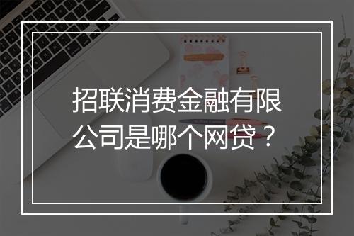 招联消费金融有限公司是哪个网贷？