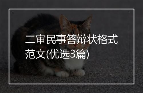 二审民事答辩状格式范文(优选3篇)