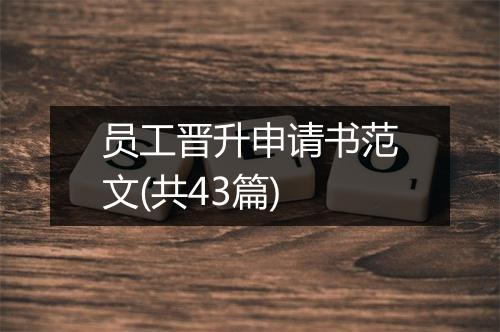 员工晋升申请书范文(共43篇)