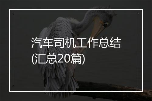 汽车司机工作总结(汇总20篇)