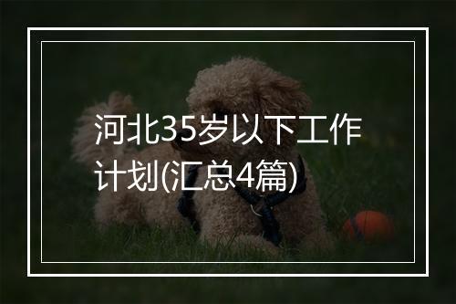 河北35岁以下工作计划(汇总4篇)