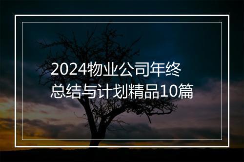2024物业公司年终总结与计划精品10篇