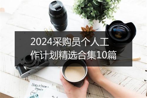 2024采购员个人工作计划精选合集10篇