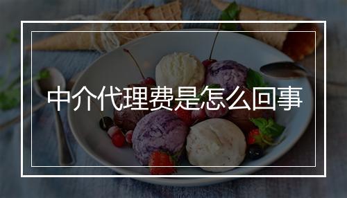 中介代理费是怎么回事