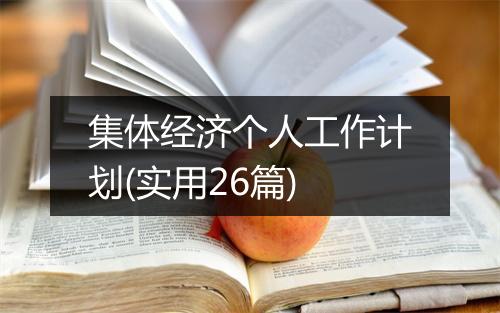 集体经济个人工作计划(实用26篇)